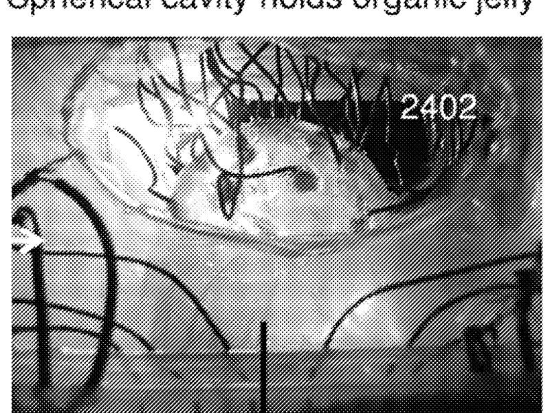 An AI Crackpot&nbsp;Application